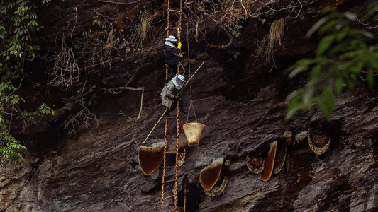What Is Mad Honey? Discover the Sweet Secret of the Himalayas