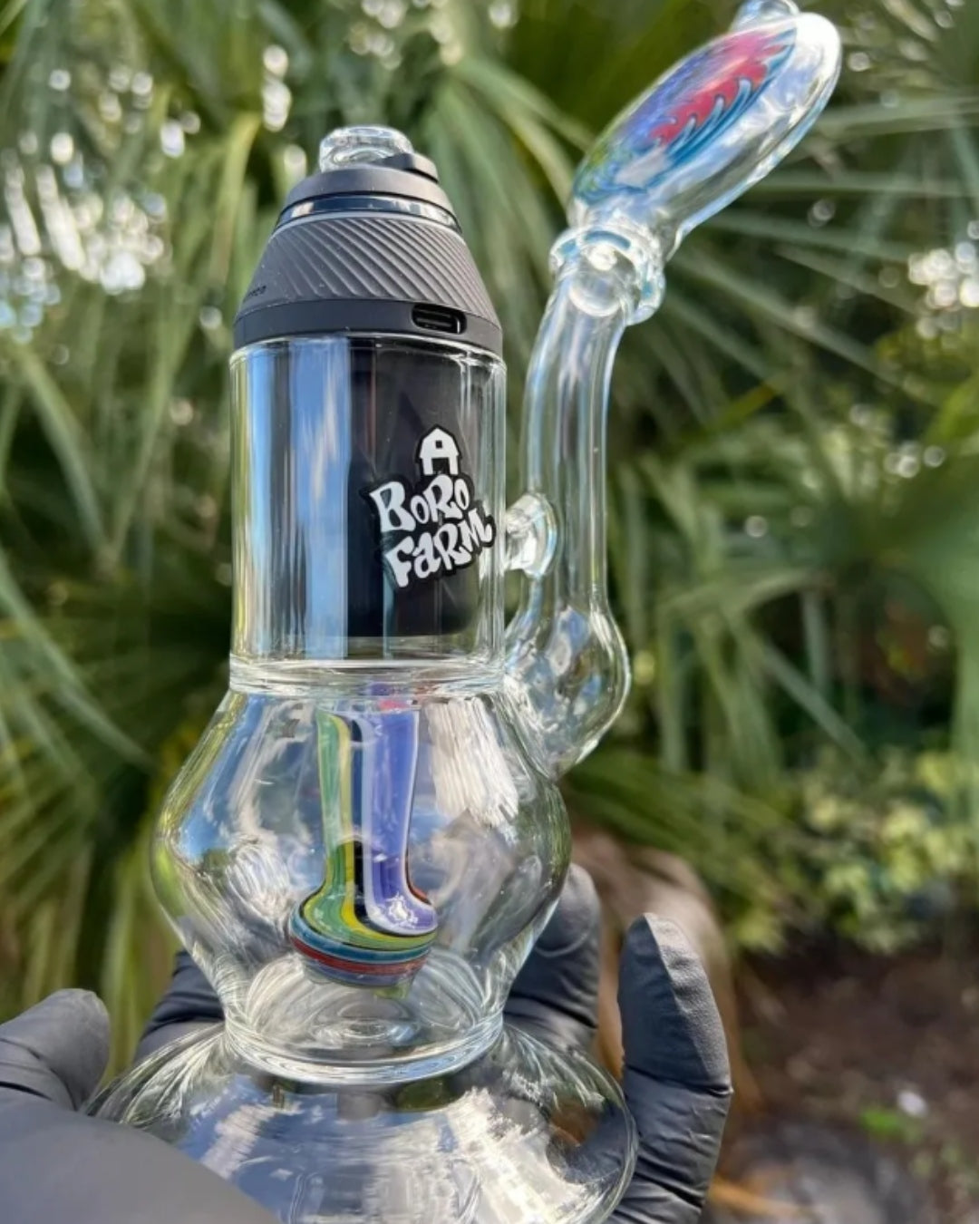 Boro Farms Proxy Attachment